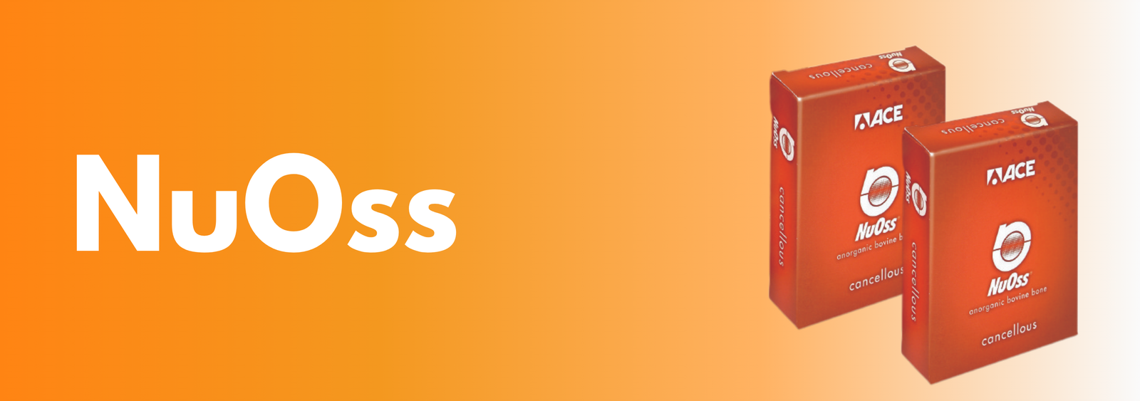 Simple-Forest-Tumblr-Banner-18